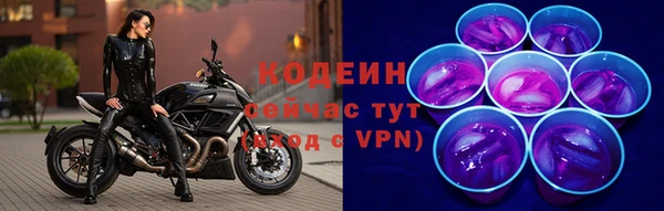 твердый Магас