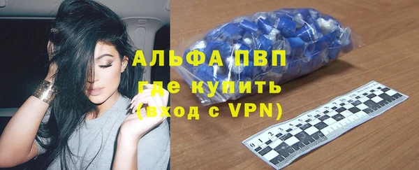 твердый Магас